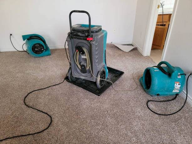 Trusted Raymond, WA Water damage restoration Experts