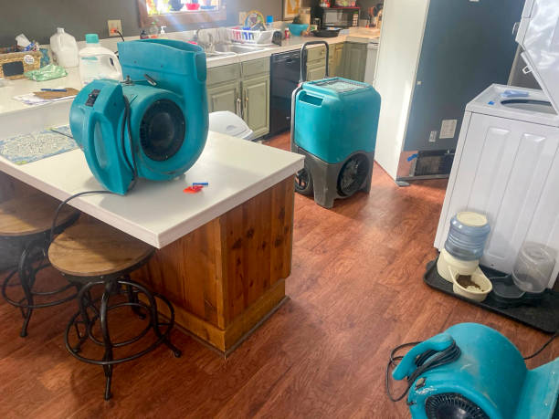 Best Water damage restoration services  in Raymond, WA