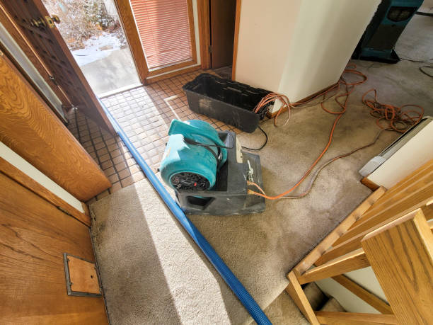 Best Local water damage restoration  in Raymond, WA