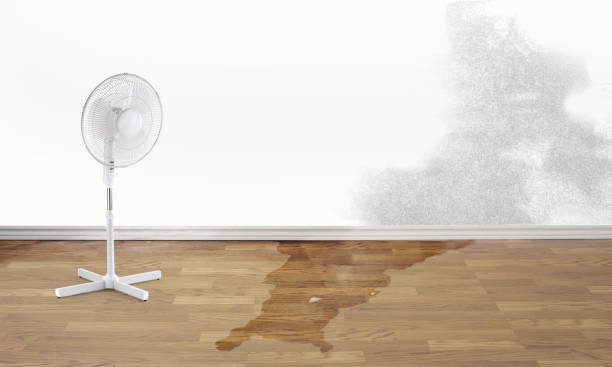 Best Basement water damage restoration  in Raymond, WA