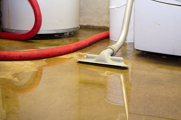 Best Flooded house restoration  in Raymond, WA