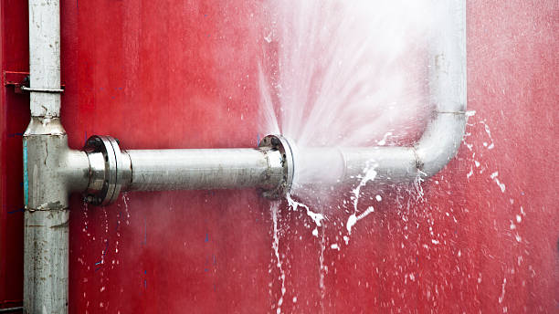 Best Basement water damage restoration  in Raymond, WA